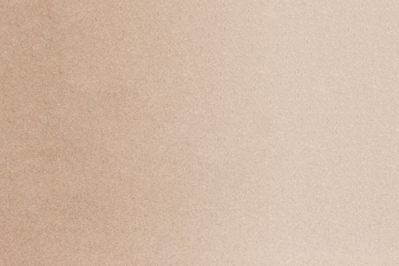 3310 - Metalik Bronz